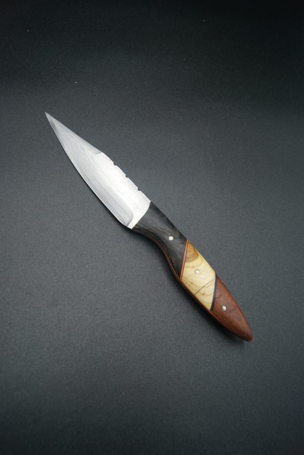 Cuisine VG10 morta, cytise, bois exotique