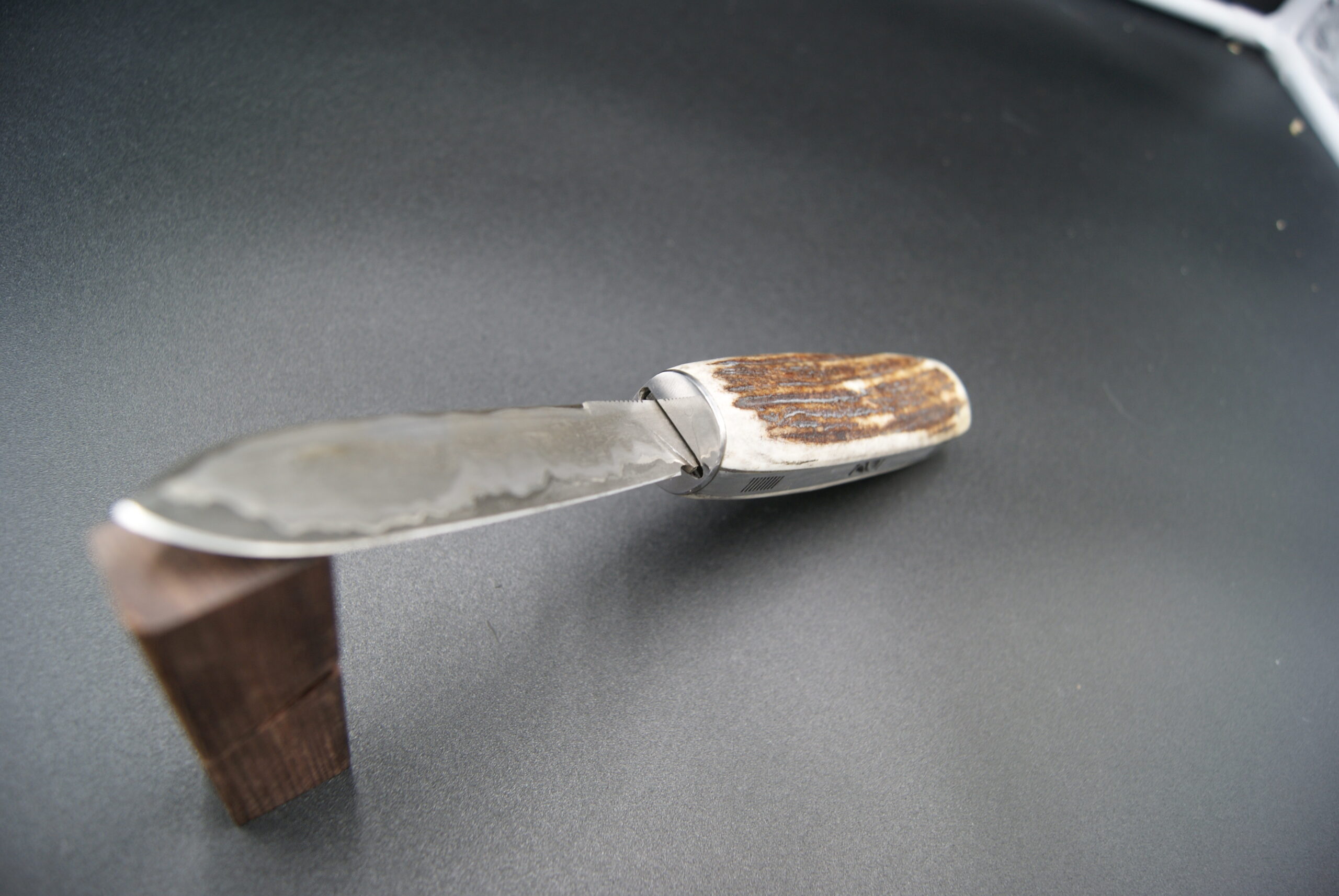 T39-Tonneau Go Maï et bois de cerf