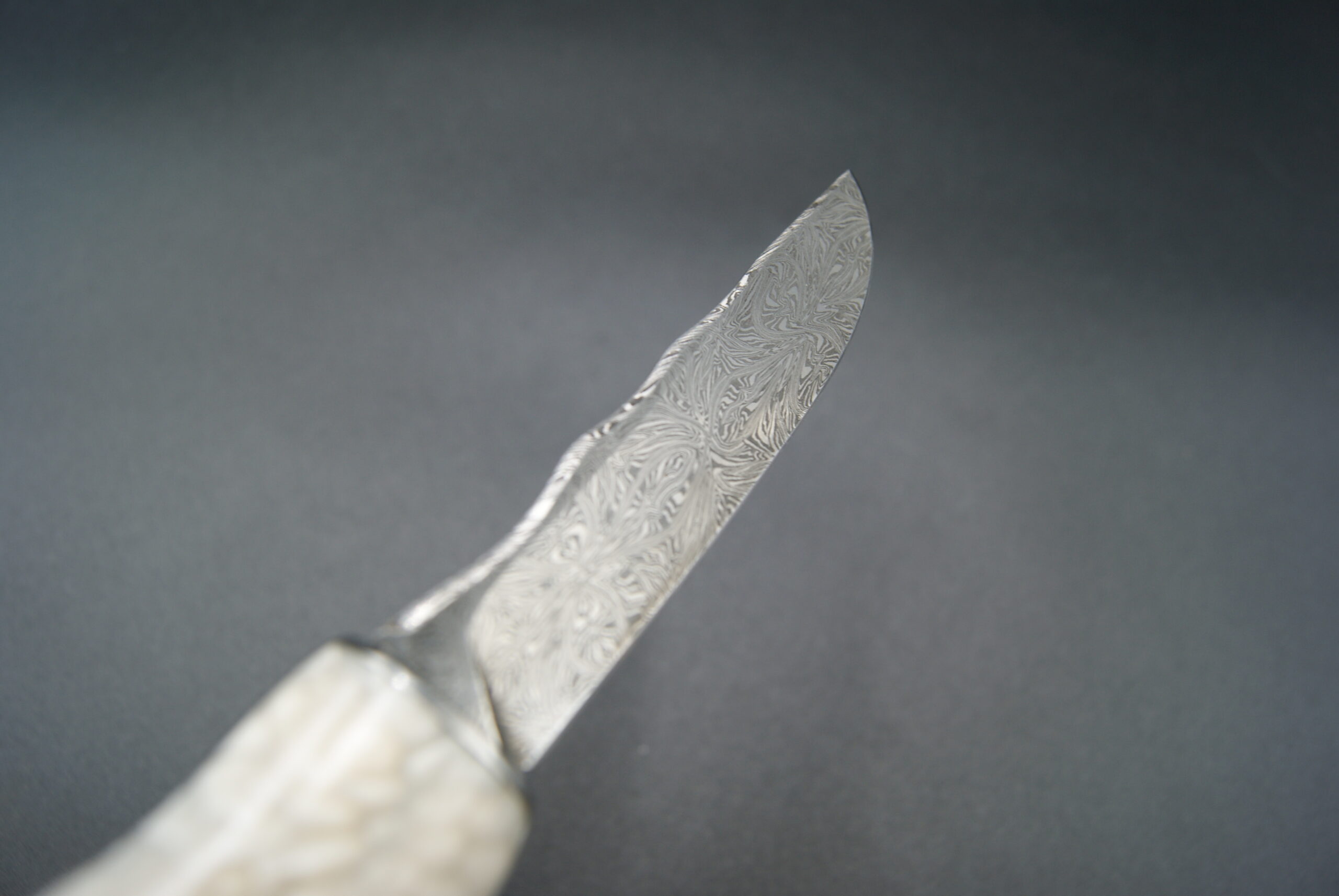T40-Tonneau IvorySnake