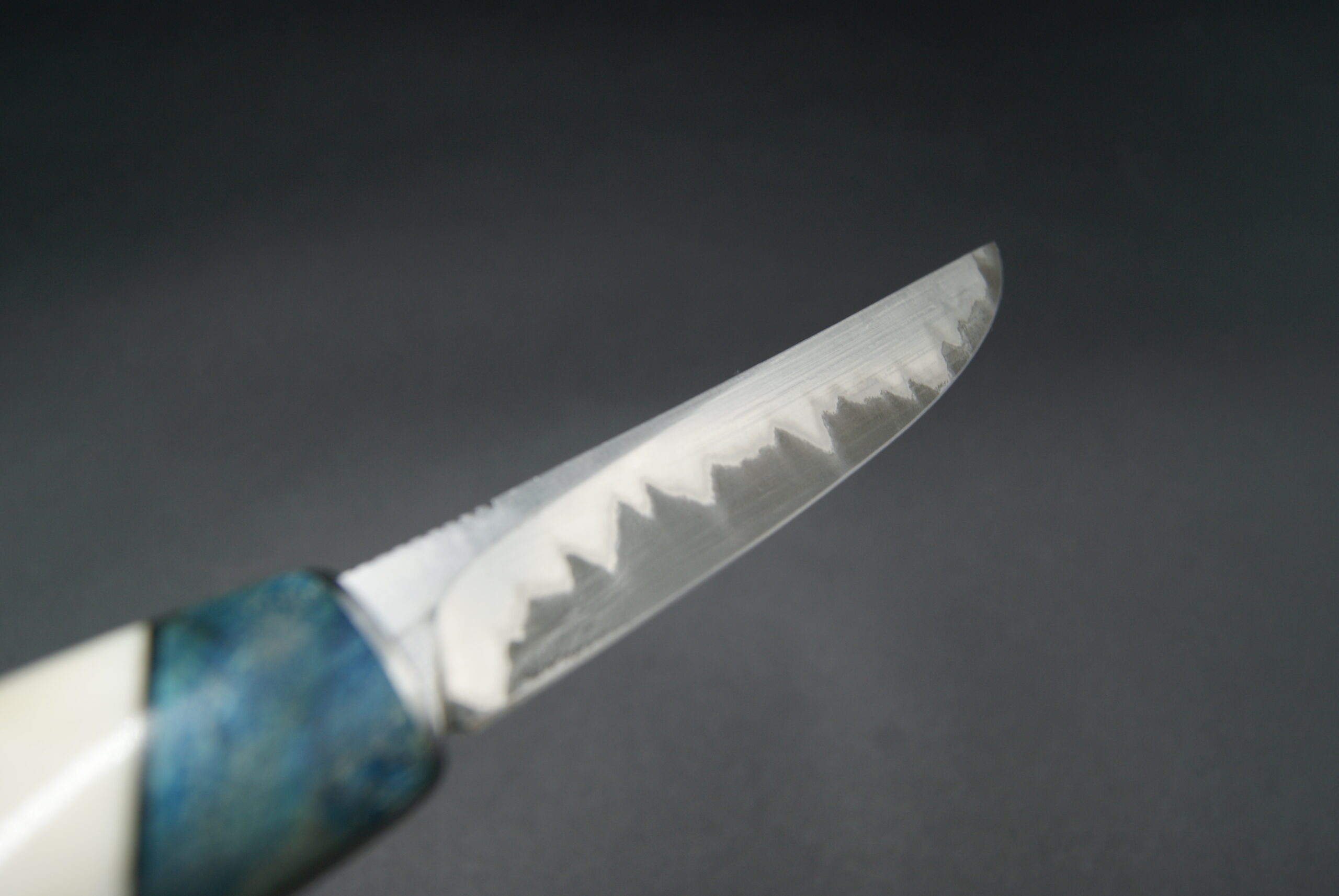 T43-Tonneau sandinox, peuplier bleu et os