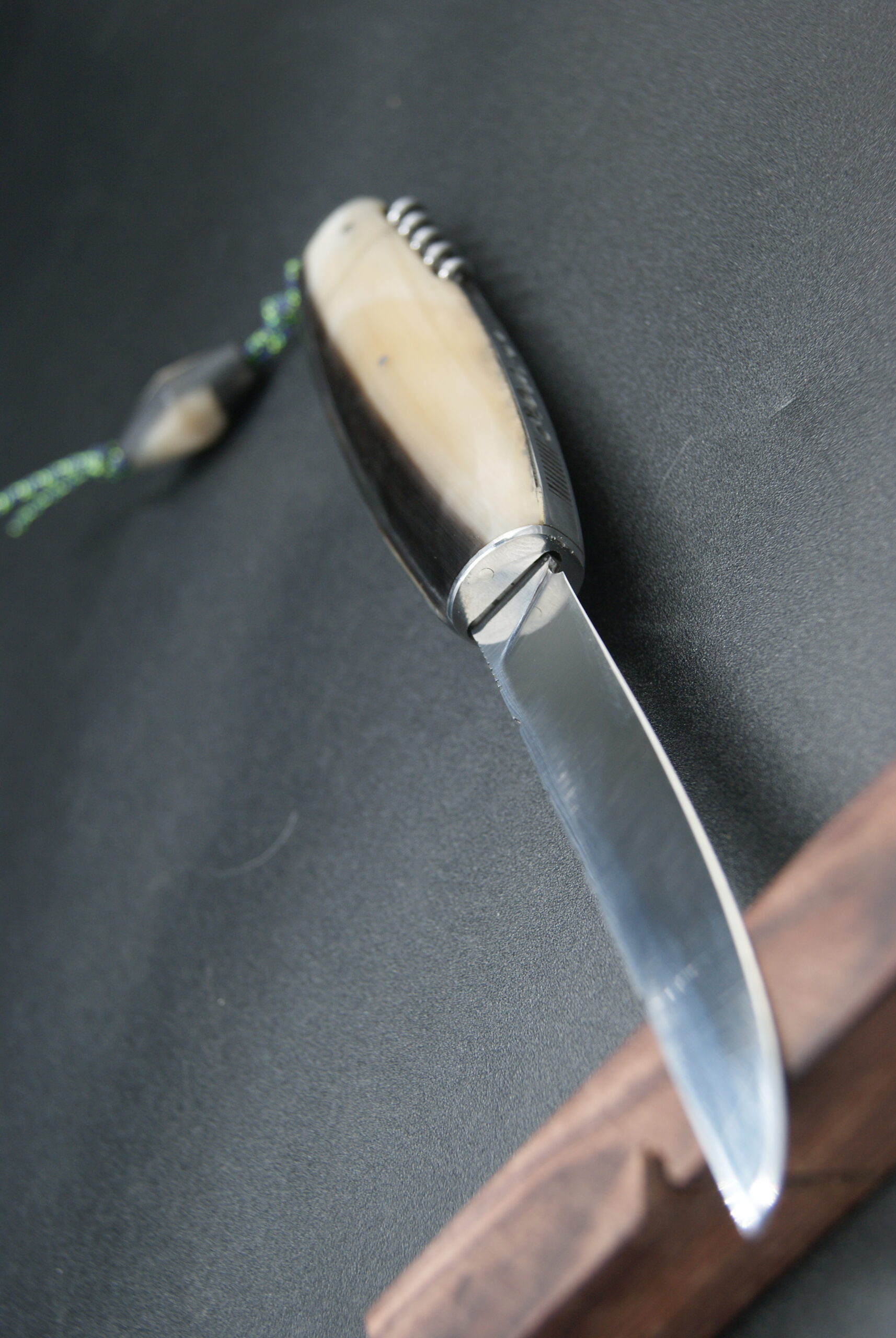 T44-Tonneau sommelier corne de bélier