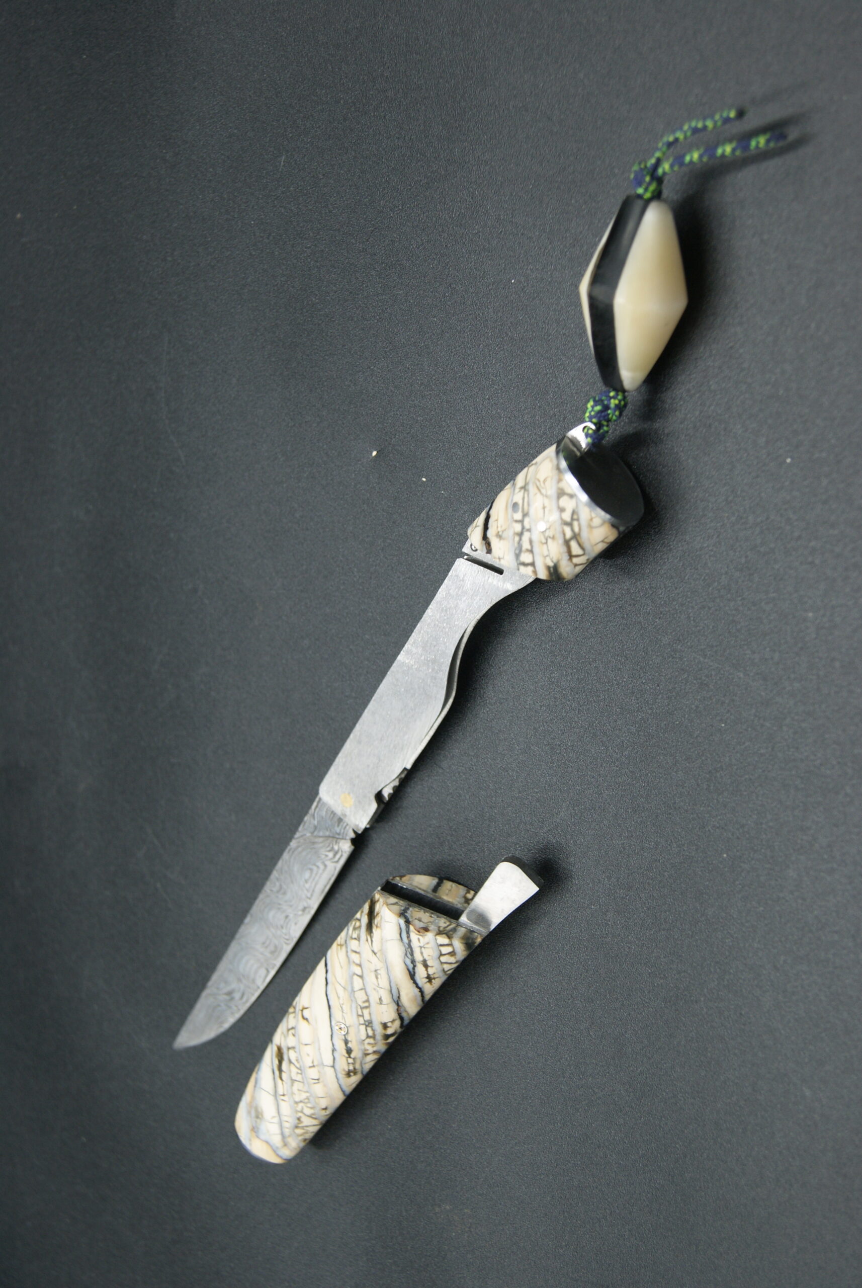 T50-Tonneau Nopaj molaire mammouth