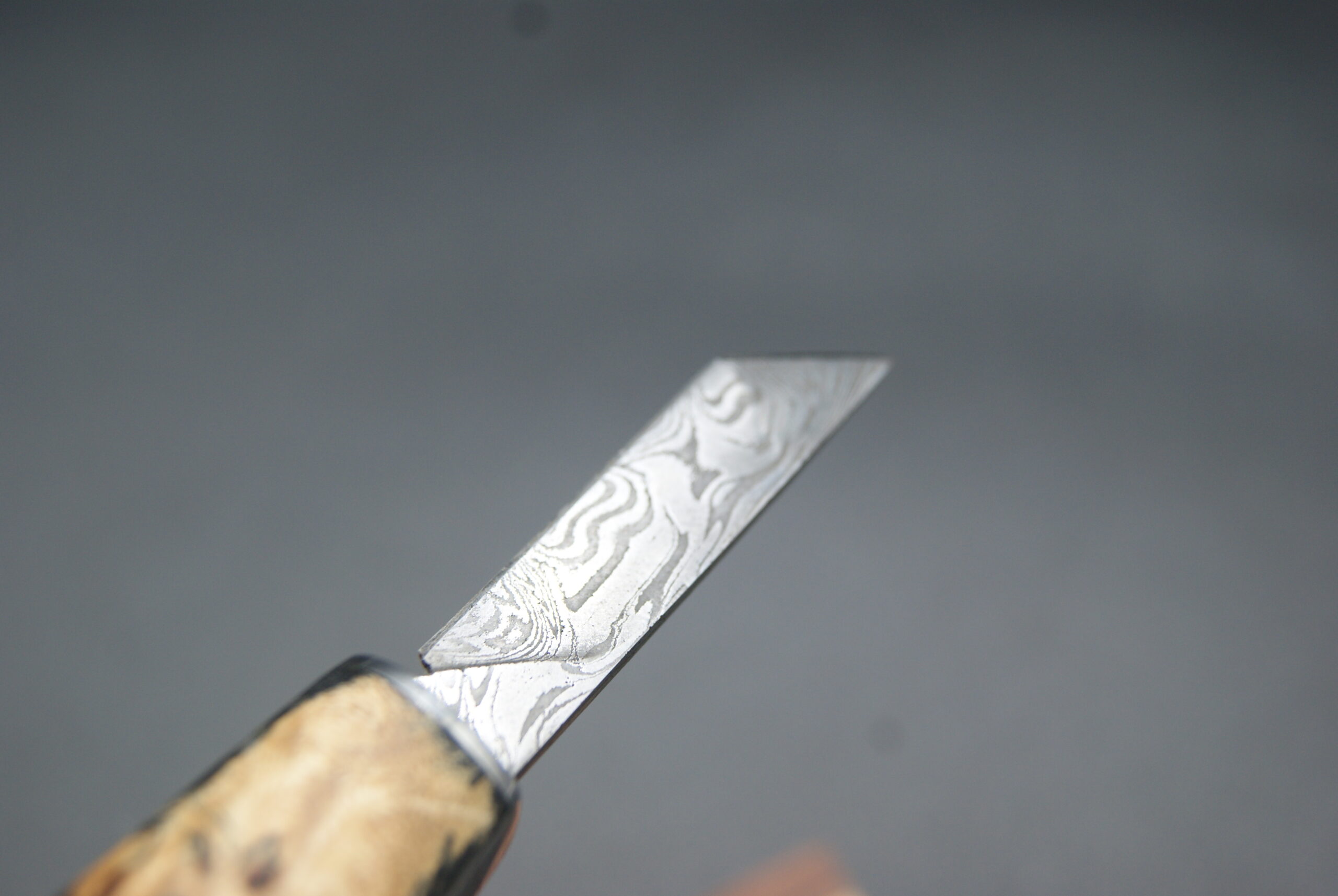 T57-Mini tonneau peuplier noir